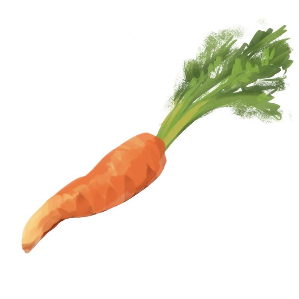 זרעי גזר ננטס