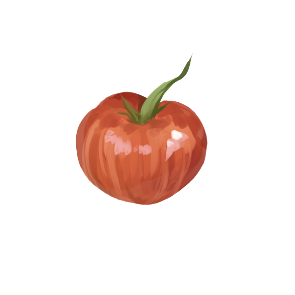 זרעי עגבניה דנה