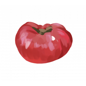 זרעי עגבניה ברנדיווין