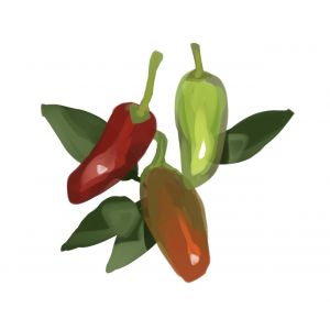 זרעי פלפל חריף ברק