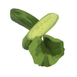 Beit Alfa Cucumber Seeds