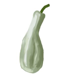 זרעי קישוא בקבוק קרע (בעל)