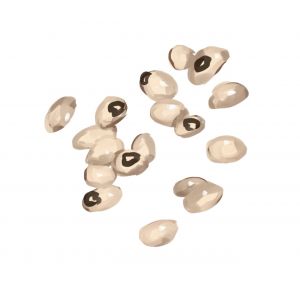 זרעי שעועית לוביה בלדי (בעל)