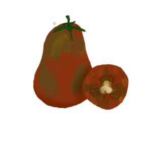 זרעי עגבניה שזיף שחור 