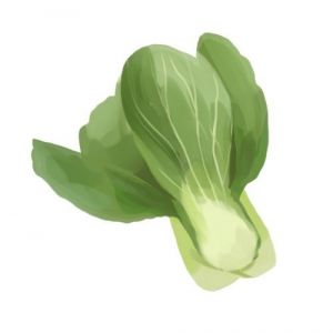 זרעי פאק צ'וי גזע ירוק