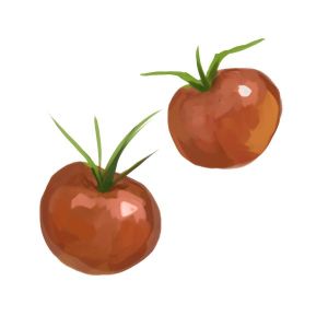 זרעי עגבניה ברי חומות