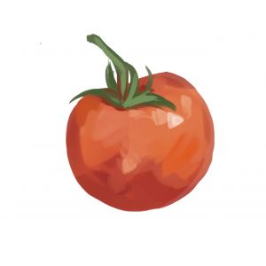 זרעי עגבניה בורבנק