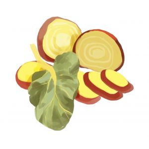 זרעי סלק זהוב