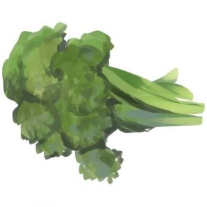 זרעי ברוקולי קלברסה