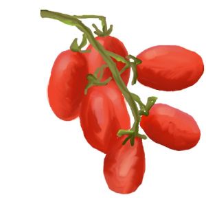 זרעי עגבניה שרי רומא