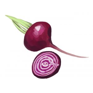 זרעי סלק קיאוגייה