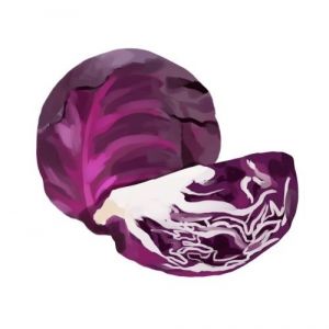 זרעי כרוב אדום קופנהגן