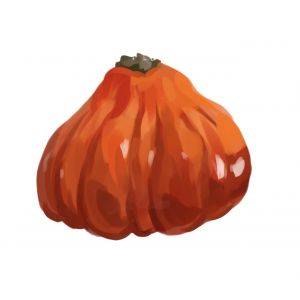 זרעי עגבניה לב השור