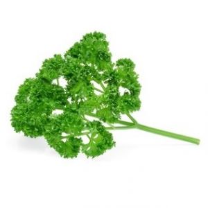 זרעי פטרוזיליה מסולסלת