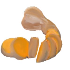 זרעי דלורית קרוקודיל