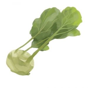 זרעי קולורבי לבן וינאי