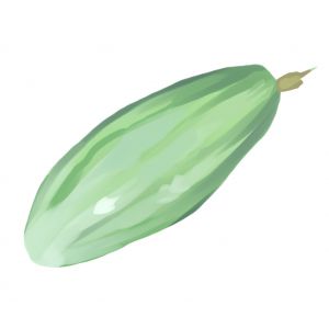 זרעי מלפפון פקוס חברון 