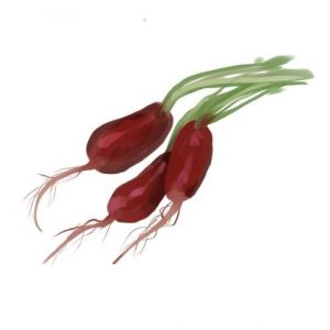 זרעי צנון ארוחת בוקר צרפתית