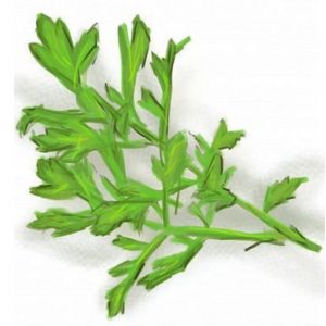 זרעי ראשד - גרגר