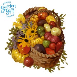 גיפט קארד - שובר מתנה 