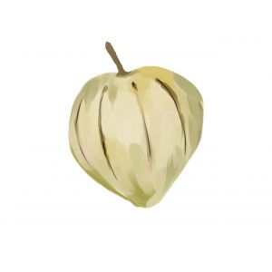 זרעי טומאטייה קליפה ירוקה