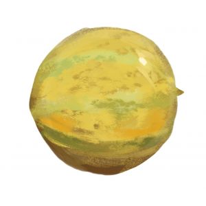 זרעי מלון העוגן