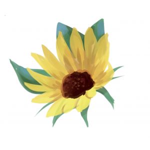 Jerusalem Dwarf Yellow Sunflower Seeds