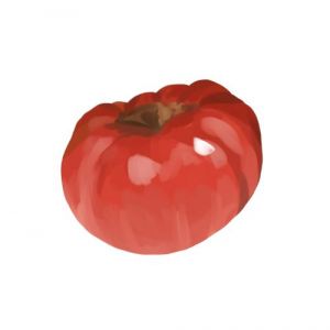 זרעי עגבניה בלדי כפר כעביה 