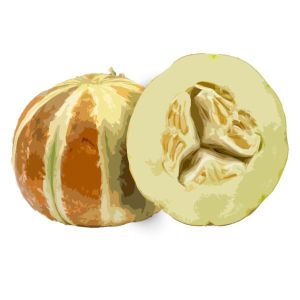 זרעי מלון קאג'ארי