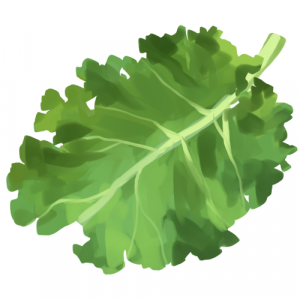 זרעי קייל מסולסל דוורף