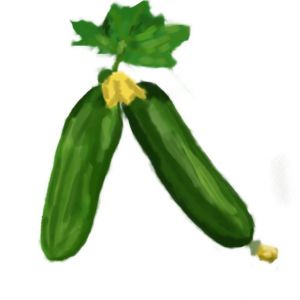 זרעי מלפפון מגנום