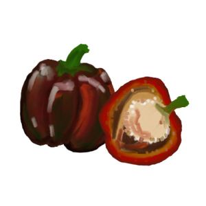 זרעי פלפלוני פעמון שוקולד מיניאטורי