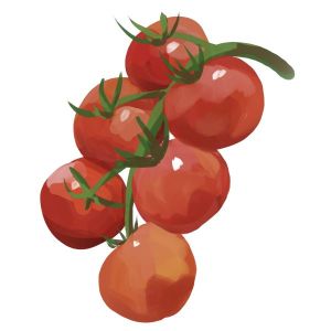 זרעי עגבנית מוניימיקר