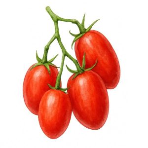 זרעי עגבנית משה דיין