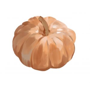 זרעי דלעת פרובנס