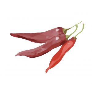 זרעי פלפל פפריקה