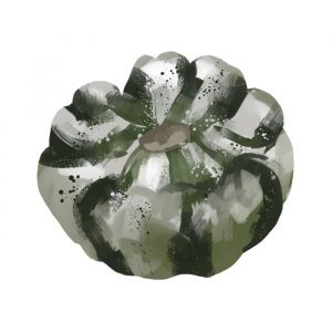 זרעי קישוא פטיסון פנאש 