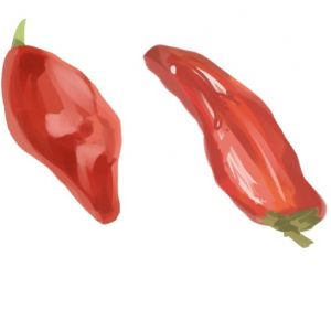Kapia Salsa Pepper Seeds
