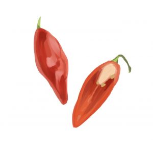 זרעי פלפל חריף חלפיניו