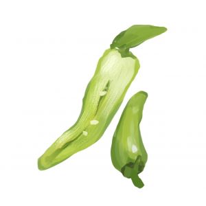 זרעי פלפל פדרון