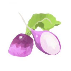 זרעי צנונית שזיף סגול 