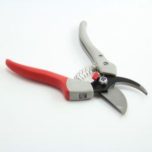 Pruning Shears