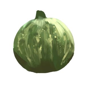 זרעי קישוא סיבוב נחמד 