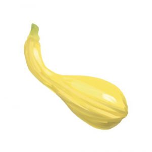 זרעי קישוא צוואר קרוקודיל 