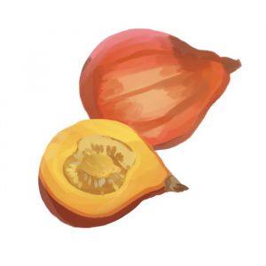 זרעי דלעת פוטימרון