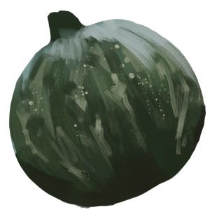 זרעי קישוא טאומה עגול 