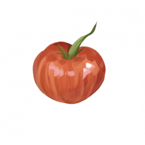 זרעי עגבניה דנה