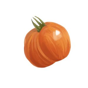 זרעי עגבניה מר סטרייפי 