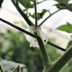 תופסנים להדליה