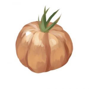 זרעי עגבניה טול כרם בלדי